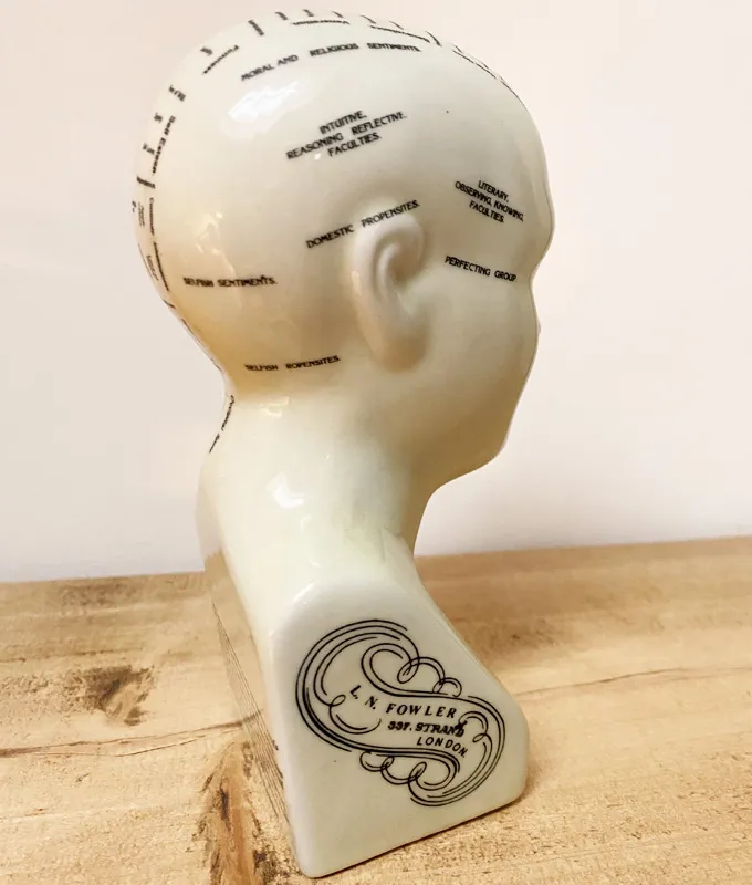 Small Ceramic Phrenology Head - Image 2