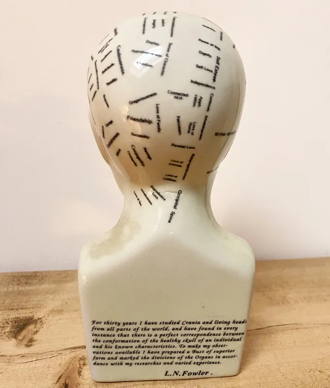 Small Ceramic Phrenology Head - Image 3