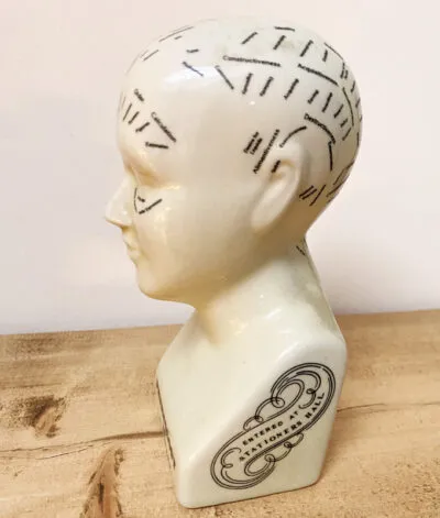 Phrenology Head