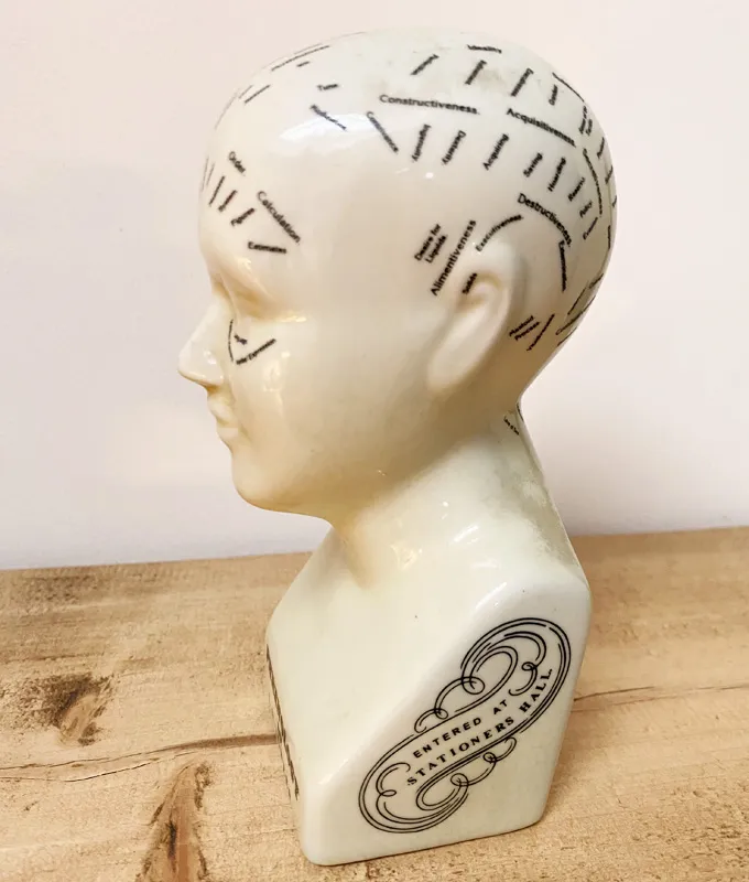 Phrenology Head