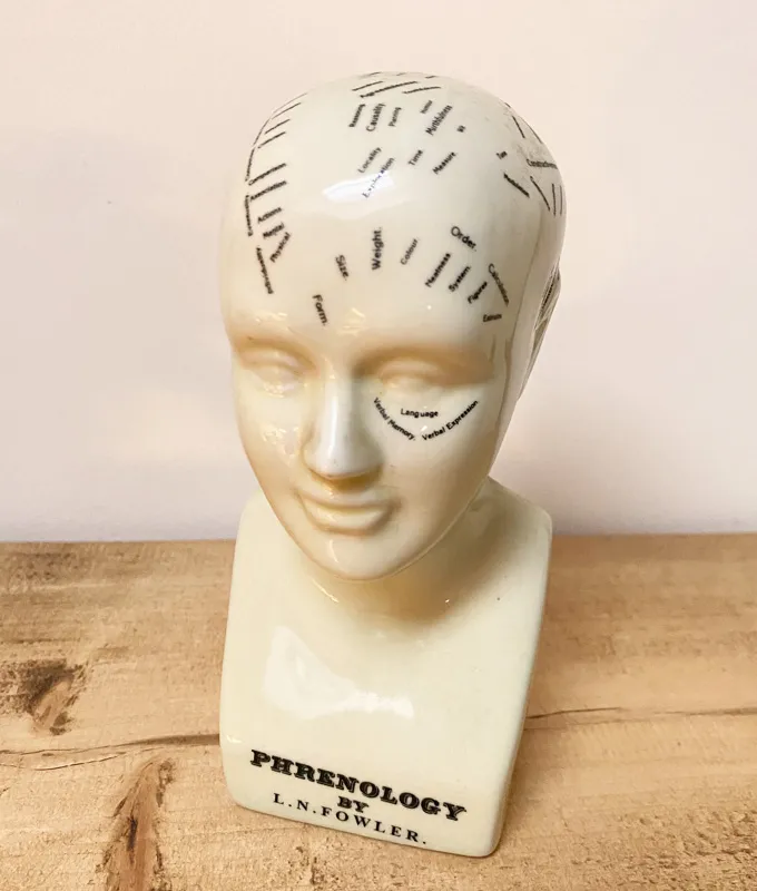 Phrenology Head